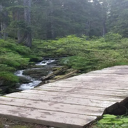 Sonnleitn Otel Bodenmais