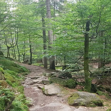 Sonnleitn 3* Боденмайс