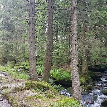 Sonnleitn بودنمايس