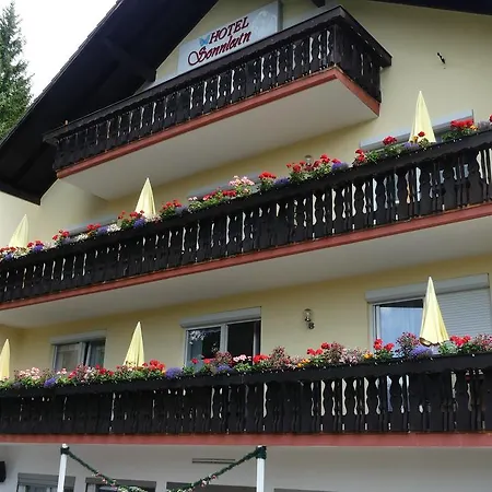 Hotel Sonnleitn 3*